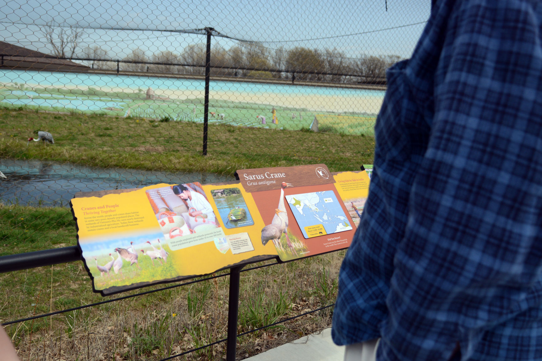 International Crane Foundation reopens, May 2021